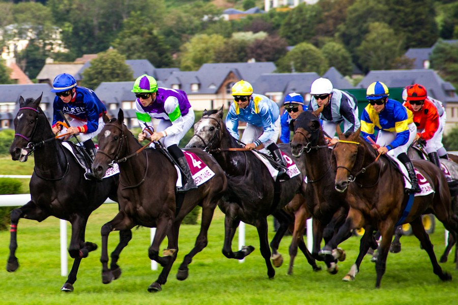Horse racing with jockeys