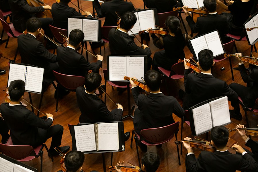 Orchestra musicians