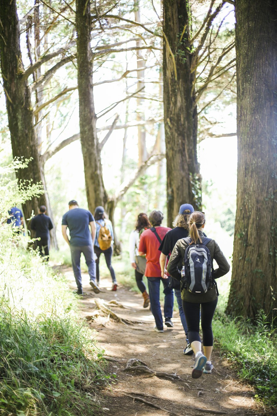 Group walking on a trail